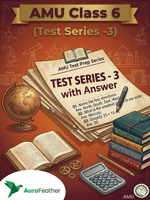 AMU Class 6 Test Series - 3