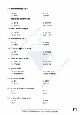 AMU Class 6 Test Series - 3